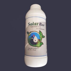 Solar Bor 1L
